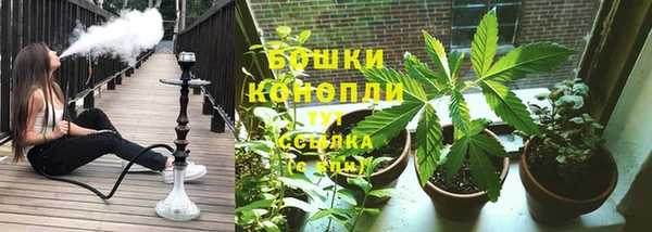 меф Пересвет