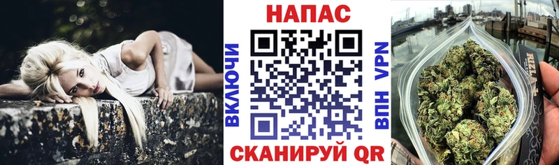 Конопля OG Kush  Боровичи 